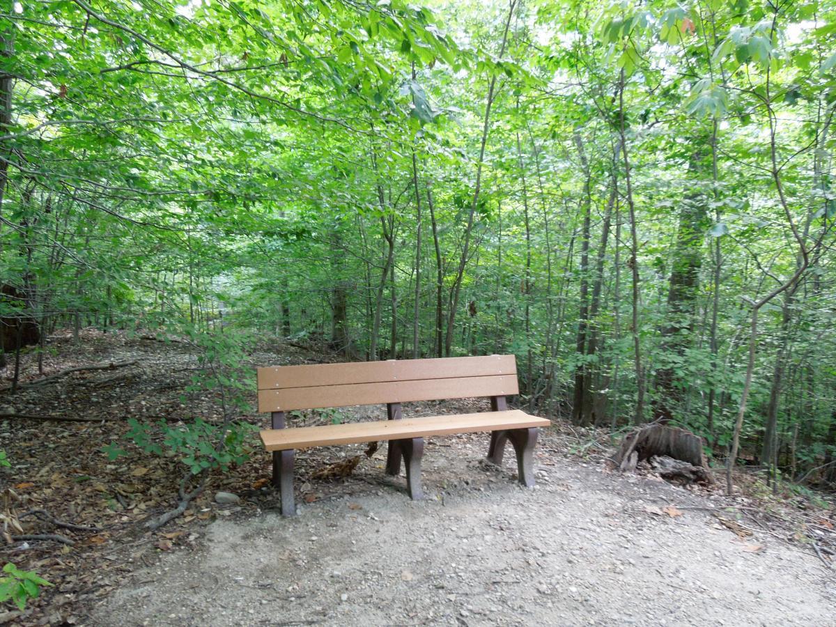 A wooden bench situated along a dirt path in a lush, green forest, surrounded by trees and foliage. The area is serene and inviting, with scattered leaves on the ground. Meadowood mountain bike trail.