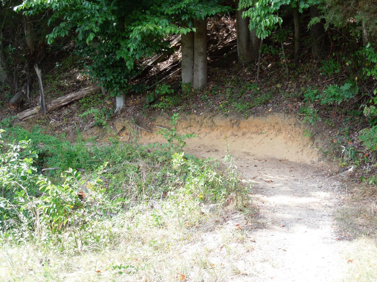 A dirt path winding through a wooded area, bordered by greenery and trees. The path has a slight curve and is surrounded by sparse grass and underbrush. Sunlight filters through the leaves, creating a peaceful, natural scene. Laurel Hill Park mountain bike trail.