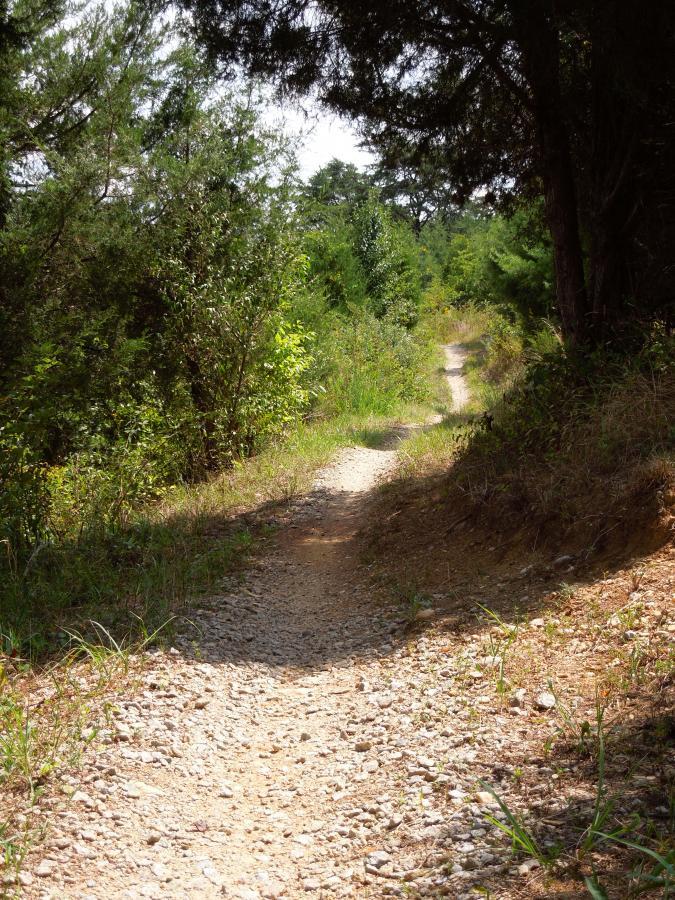 A winding dirt and gravel trail surrounded by lush greenery and trees, leading through a wooded area. The path is clear and inviting, with patches of sunlight illuminating the way ahead. Laurel Hill Park mountain bike trail.