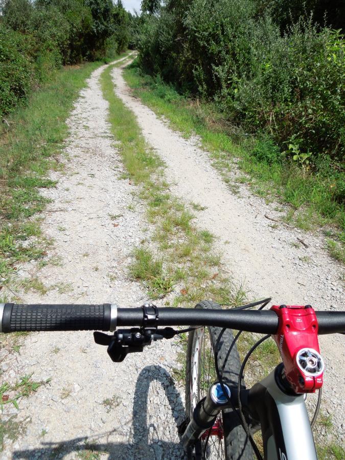 A close-up view of a mountain bike's handlebars resting on a gravel path surrounded by greenery. The trail winds gently ahead, with patches of grass growing between the gravel, indicating a peaceful outdoor setting. Laurel Hill Park mountain bike trail.