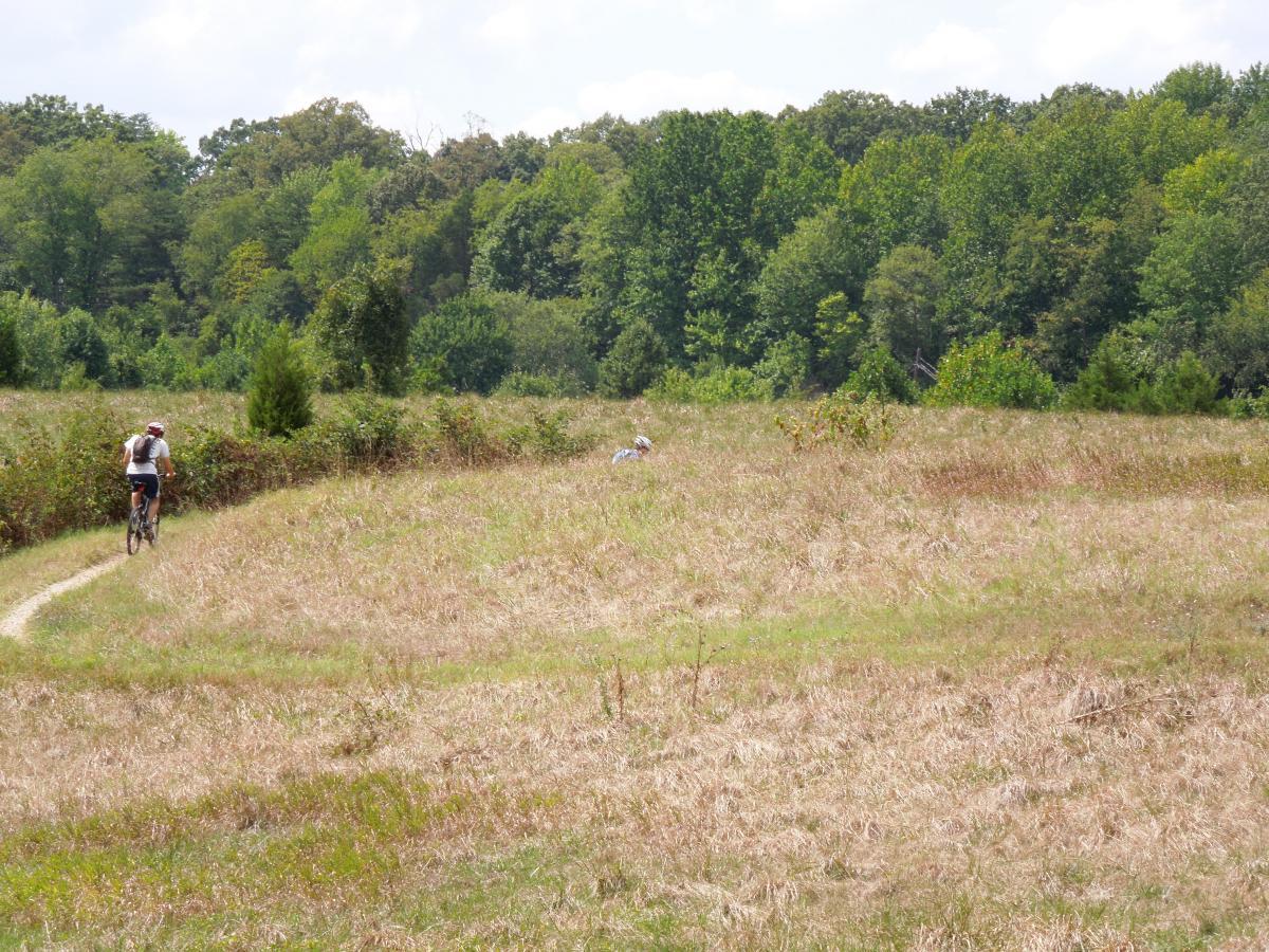 A cyclist riding along a dirt path through a grassy field with trees in the background on a sunny day. The scene features a mix of dry grass and patches of greenery, creating a peaceful outdoor atmosphere. Laurel Hill Park mountain bike trail.