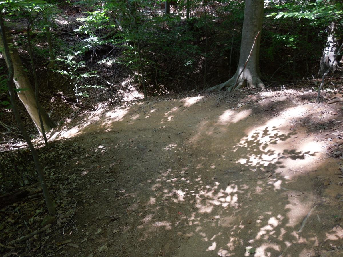 A narrow dirt path winding through a dense forest, with sunlight filtering through the leaves and casting shadows on the ground. Surrounding trees and foliage create a tranquil, natural setting. Fountainhead Regional Park mountain bike trail.