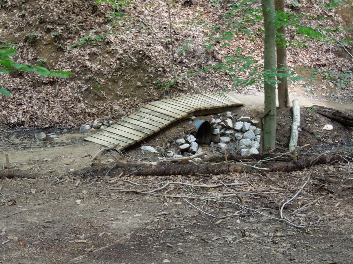 A wooden footbridge crosses a small stream in a forested area, surrounded by fallen leaves and tree trunks. A rocky area with a culvert is visible beneath the bridge, and trees with green foliage can be seen in the background, creating a tranquil natural setting. Fountainhead Regional Park mountain bike trail.