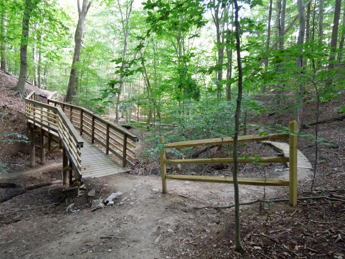 A winding wooden bridge crosses a small stream in a lush green forest, surrounded by tall trees and dense foliage. The pathway leading towards the bridge is unpaved and meandering, inviting visitors to explore the serene natural environment. Fountainhead Regional Park mountain bike trail.