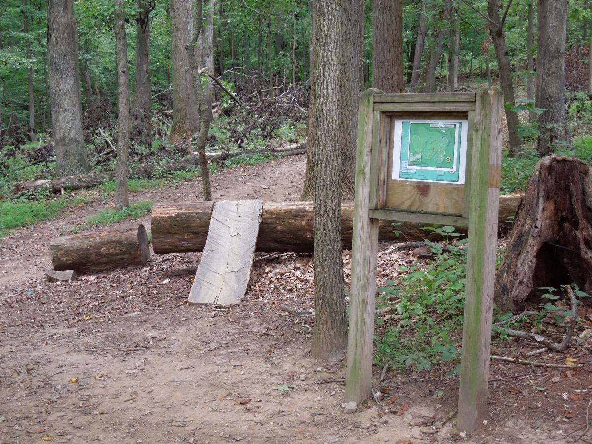 A wooden trail sign with a map displayed on it stands next to a dirt path in a forested area. In the foreground, a fallen log creates a natural barrier across the trail. Surrounding the scene are tall trees and scattered leaves on the ground, indicating a natural, unpaved hiking environment. Schaeffer Farms mountain bike trail.