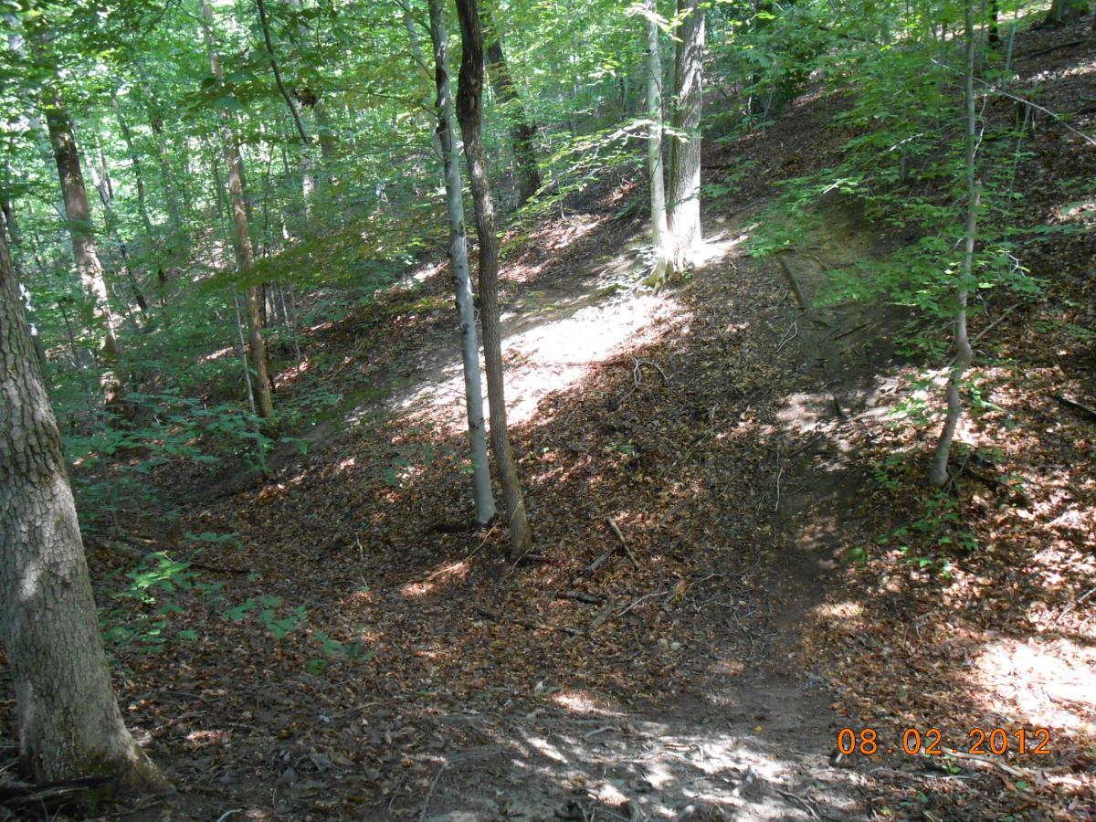 A wooded area featuring a sloped trail covered with fallen leaves, surrounded by tall trees and dappled sunlight filtering through the foliage. The ground is uneven, with a gentle incline leading down a hillside. Rappahanock River Trail mountain bike trail.