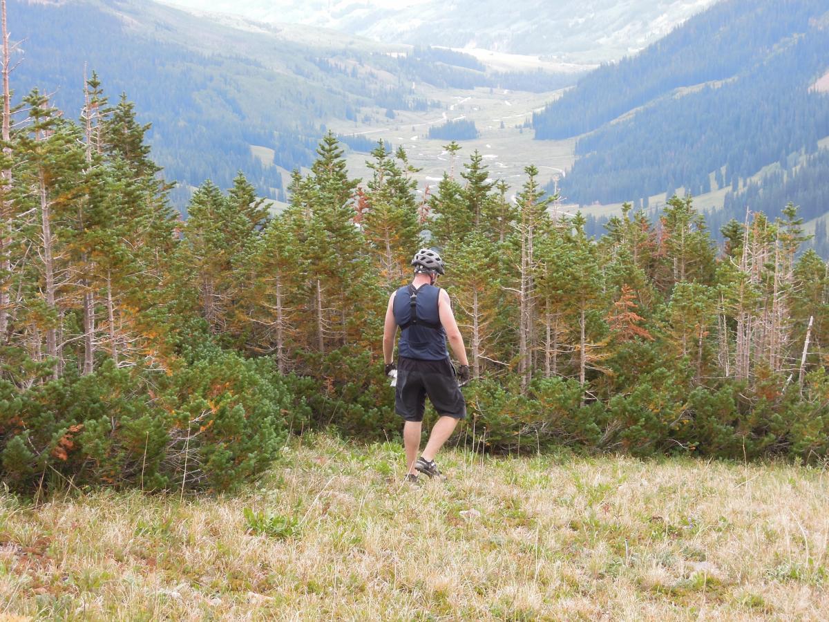 A person wearing a helmet and outdoor gear walks through a grassy area surrounded by dense, green pine trees, with a mountainous landscape visible in the background. The scene conveys a sense of adventure and exploration in a natural setting. Trail 401 mountain bike trail.