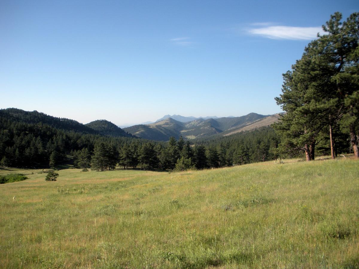 A scenic view of rolling hills and mountains under a clear blue sky, surrounded by lush green forests and grassland. The image captures a serene natural landscape with a foreground of grassy fields and clusters of trees, leading to distant mountain ranges. Heil Valley Ranch mountain bike trail.
