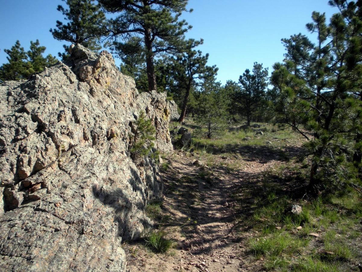 A rocky outcrop beside a dirt trail, surrounded by green pine trees and a clear blue sky. Heil Valley Ranch mountain bike trail.