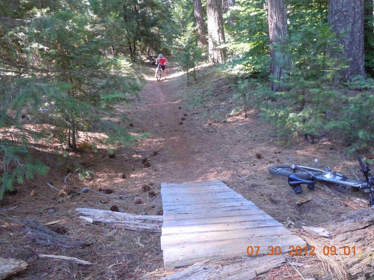 A mountain biker riding on a dirt trail surrounded by tall trees and pine needles. A wooden ramp is positioned on the trail, and there is a bicycle lying on the ground nearby. Sly Park mountain bike trail.