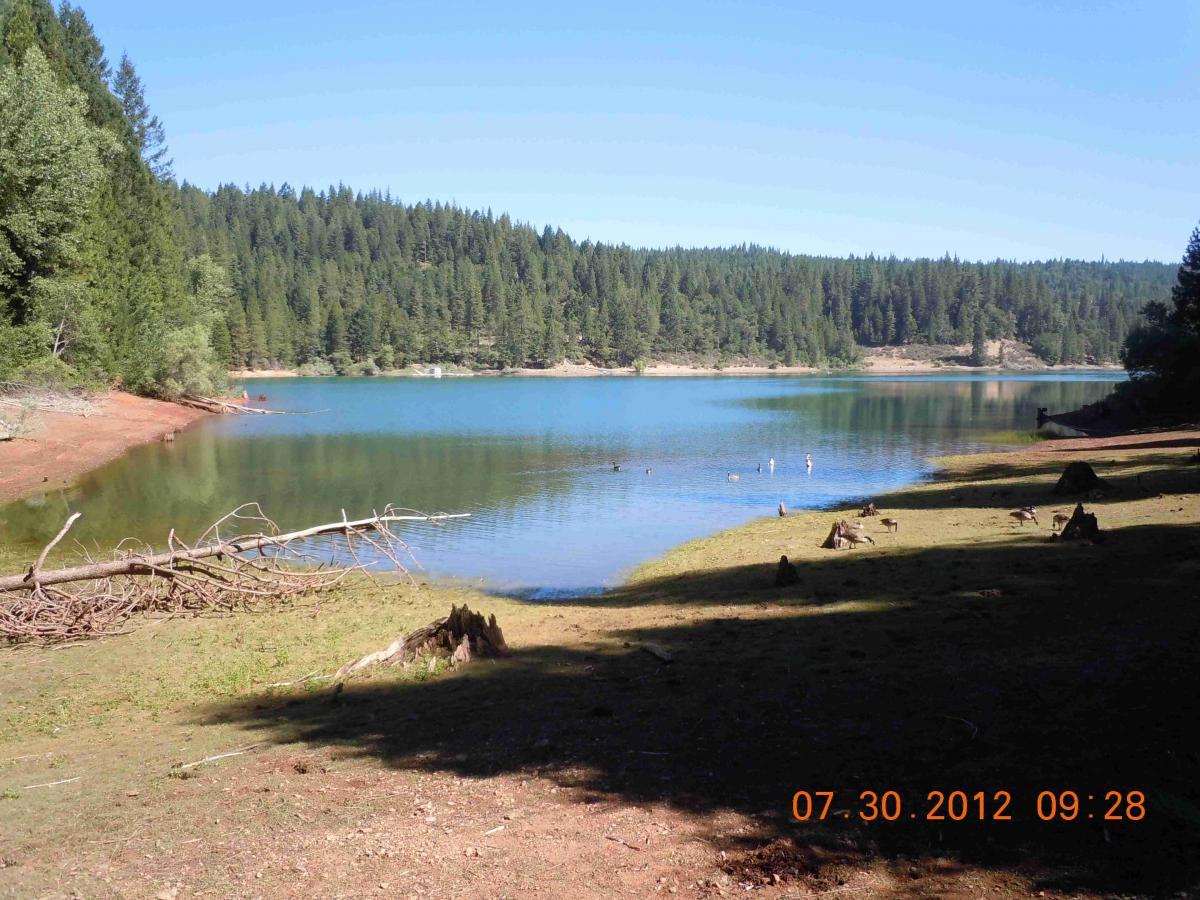A calm lake surrounded by green trees and grassy shoreline under a clear blue sky. Fallen branches and stumps are visible along the water's edge, with reflections of the forest in the lake. The photo is timestamped July 30, 2012, at 9:28 AM. Sly Park mountain bike trail.