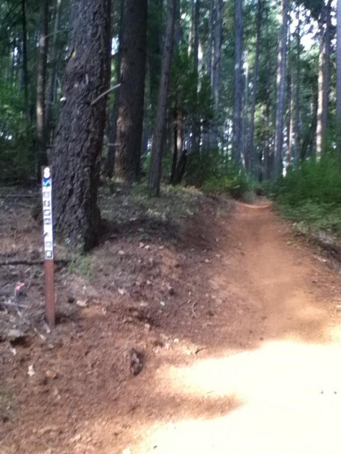A forested trail with a dirt path winding through tall trees. A trail marker is visible on the left side of the image, indicating directions or information about the trail. The surroundings are lush with greenery, creating a tranquil natural setting. Fleming Meadows mountain bike trail.