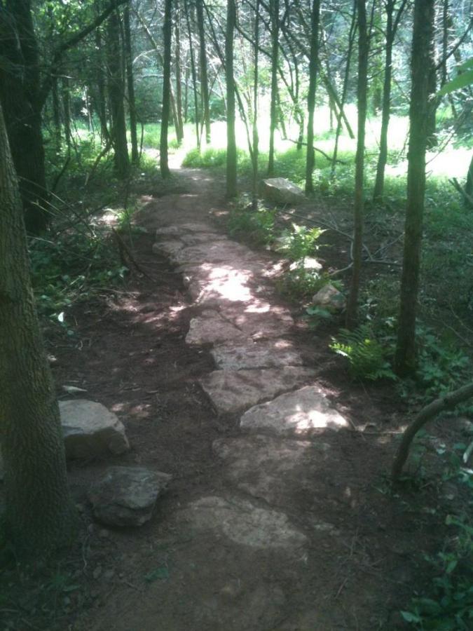 A narrow stone path winding through a wooded area, surrounded by trees and greenery. Sunlight filters through the leaves, illuminating parts of the path and highlighting the natural beauty of the forest. Nockamixon State Park mountain bike trail.