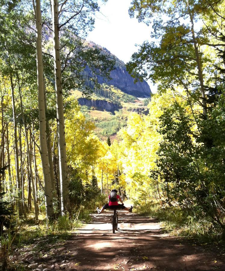 A mountain biker performing a trick on a trail surrounded by tall trees with vibrant yellow leaves, set against a backdrop of rocky mountains under a clear blue sky. Dyke mountain bike trail.