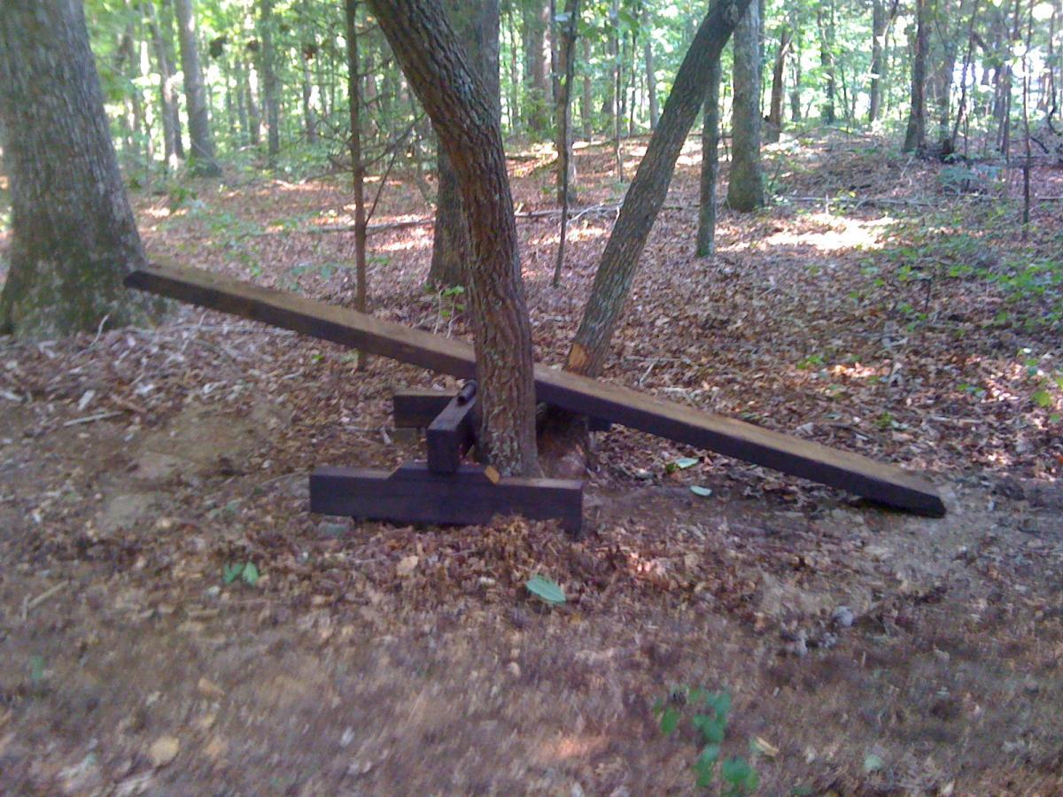 A wooden seesaw set up between two trees in a forested area, surrounded by fallen leaves and greenery. The seesaw is made from dark wood, with one end resting on a tree and the other on a support structure on the ground. Sunlight filters through the trees, creating a natural and playful environment. Pee Wee's Mountain Bike Park mountain bike trail.