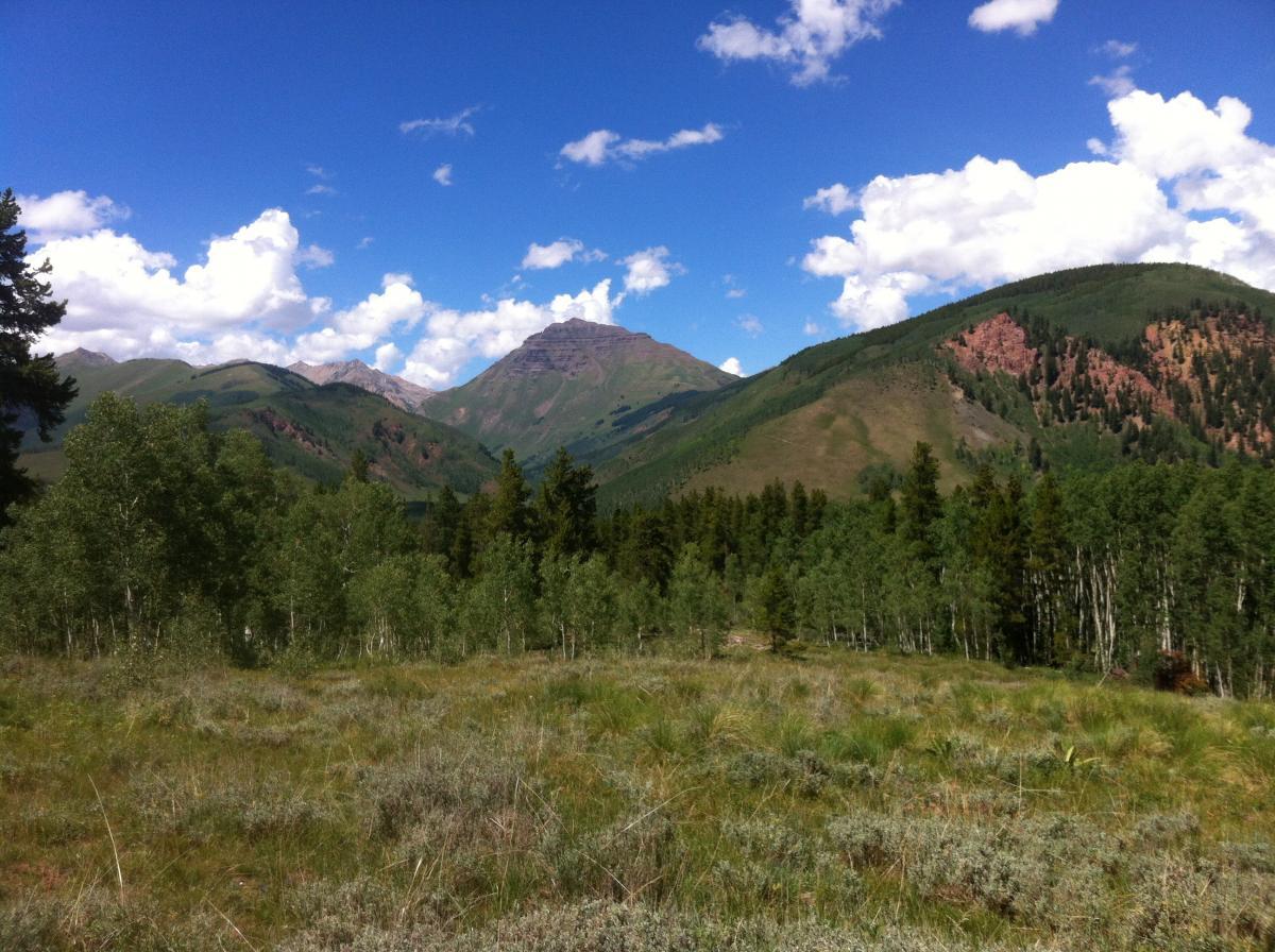 A scenic landscape featuring rolling hills and mountains under a bright blue sky with fluffy white clouds. In the foreground, a variety of green trees, including aspens, populate the area, while the mountains in the background display a mix of greenery and rocky terrain. Farris Creek mountain bike trail.