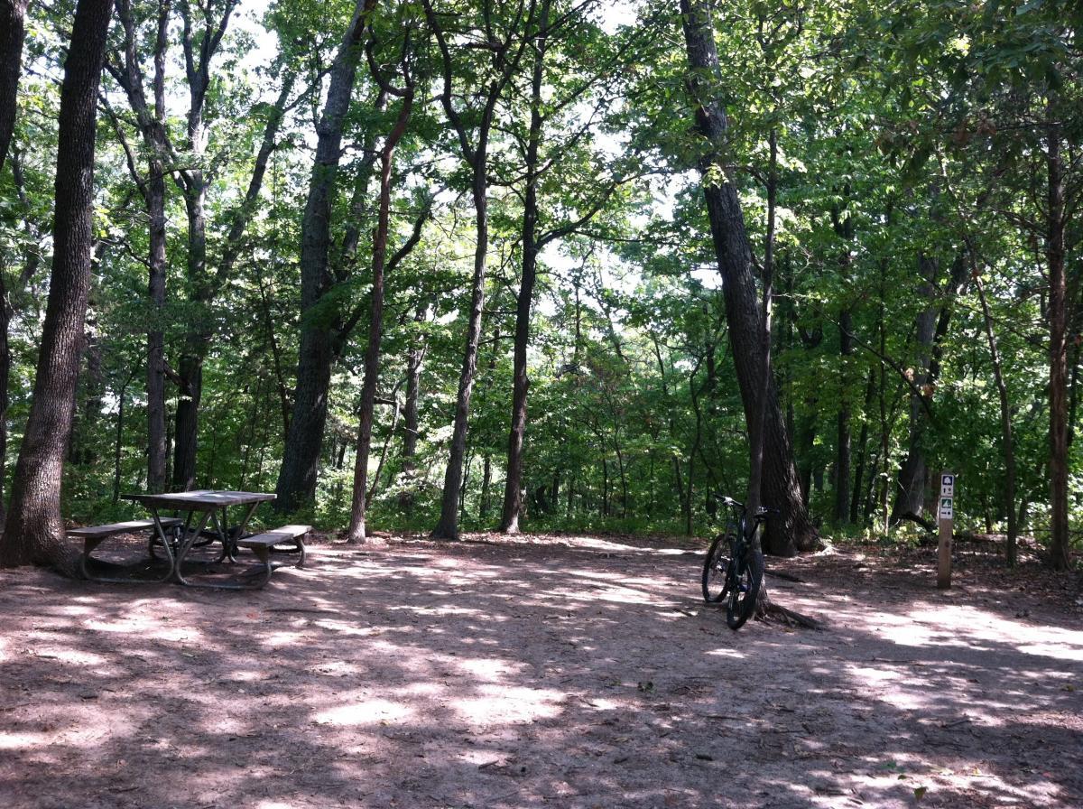 A peaceful forest scene featuring a dirt area with a picnic table and benches under tall trees. A bicycle leans against a tree in the foreground, surrounded by lush greenery and dappled sunlight filtering through the leaves. Chubb Trail mountain bike trail.