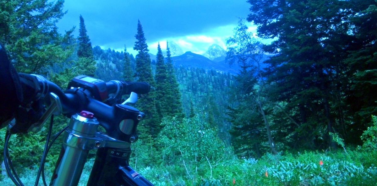 A close-up view of a mountain bike handlebar in a lush forest. In the background, tall pine trees and distant blue mountain peaks are visible under a cloudy sky. The scene conveys a sense of adventure and natural beauty. Mill Creek mountain bike trail.