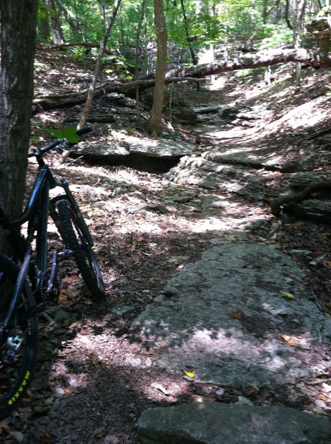 A rocky trail in a wooded area, with a mountain bike parked beside a tree. Sunlight filters through the leaves, casting dappled shadows on the dirt path, which is surrounded by stones and fallen branches. Chubb Trail mountain bike trail.