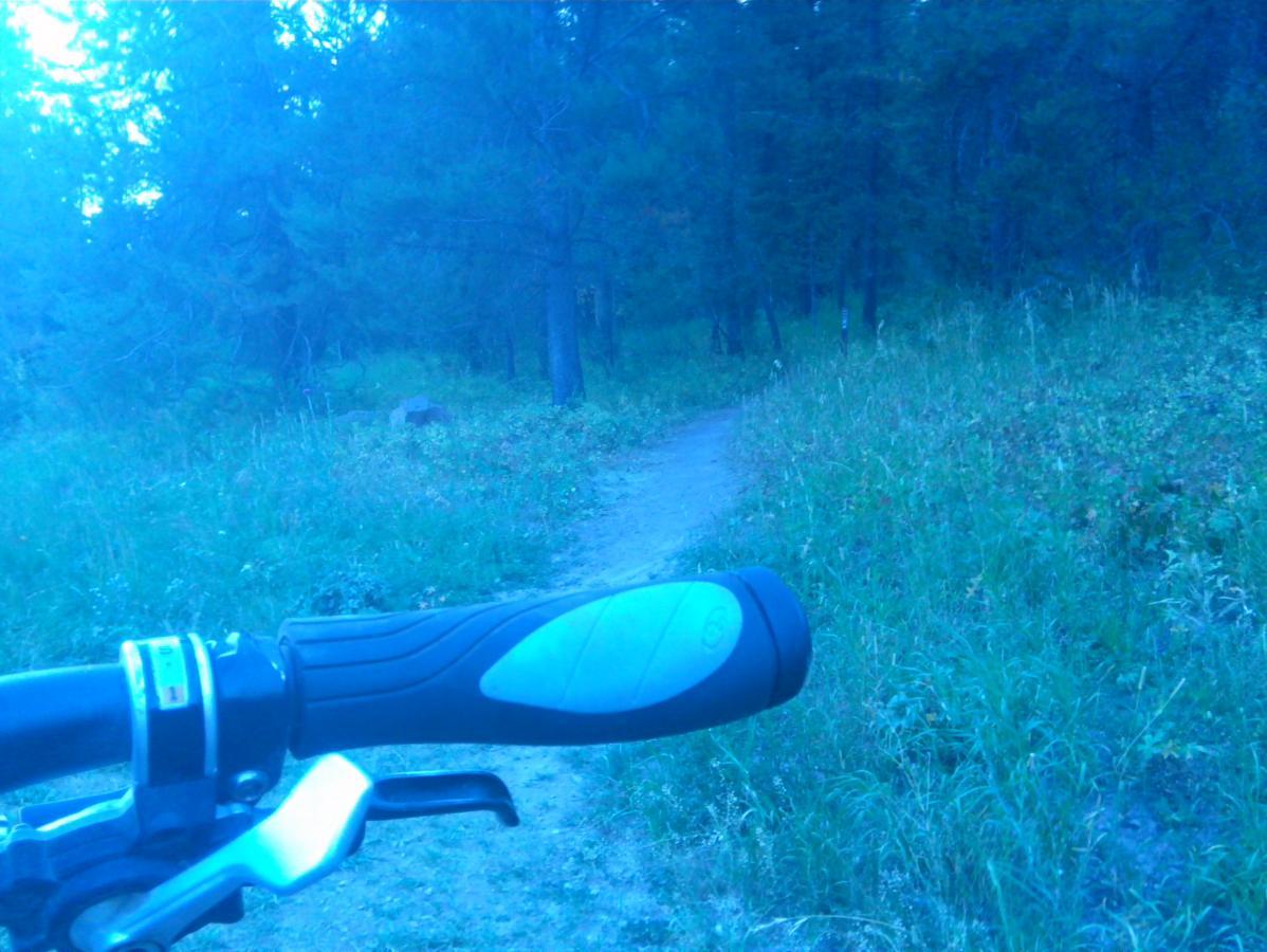 A close-up view of a bicycle handlebar, with a blurry dirt path winding through a lush, green forest in the background. The scene is illuminated by soft blue light, creating a serene outdoor atmosphere. Rush Hour mountain bike trail.