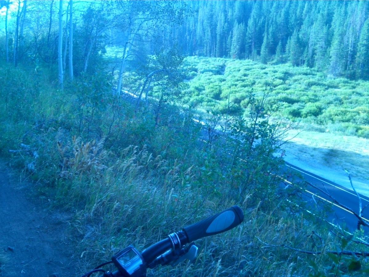 A scenic view from a mountain bike path, showcasing a lush green valley surrounded by trees. The handlebars of the bike are visible in the foreground, with a dirt trail to the left leading into the wilderness. The atmosphere has a blue tint, suggesting early morning or late afternoon light. Rush Hour mountain bike trail.