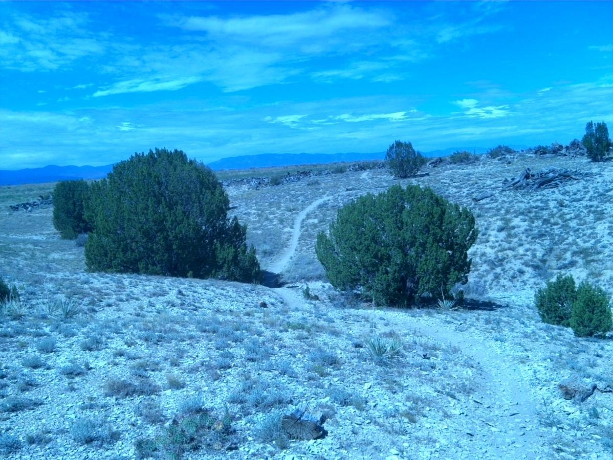 A winding dirt path leads through a sparse landscape featuring low bushes and rocky terrain, under a bright blue sky with scattered clouds. Mountain ranges are visible in the distant background. South Shore Lake Pueblo mountain bike trail.