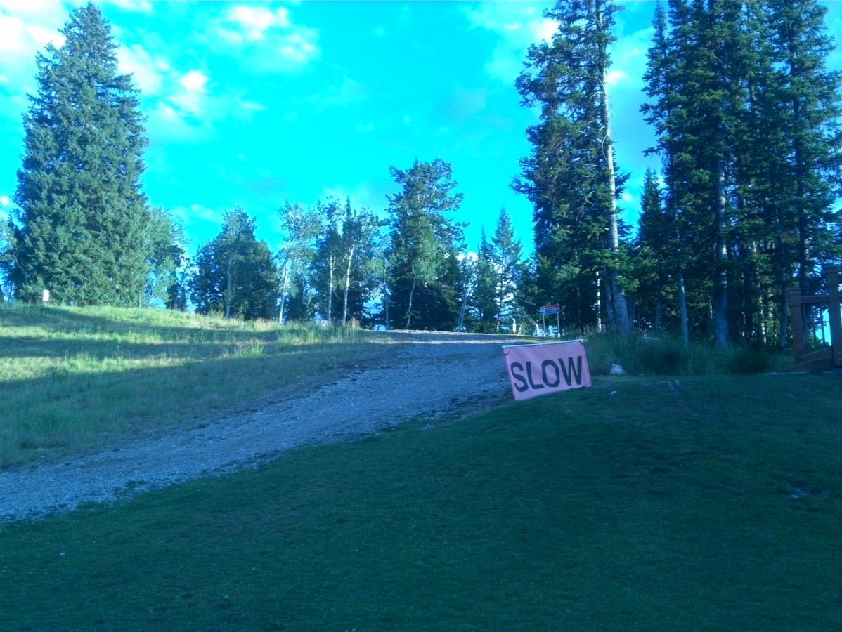 A gravel path leading up a gentle slope, flanked by tall evergreen trees and blue sky. A large pink sign on the right side of the image reads "SLOW," indicating a warning for approaching vehicles. The ground is a mix of grass and gravel, creating a natural, outdoor setting. Buffalo Soldier mountain bike trail.