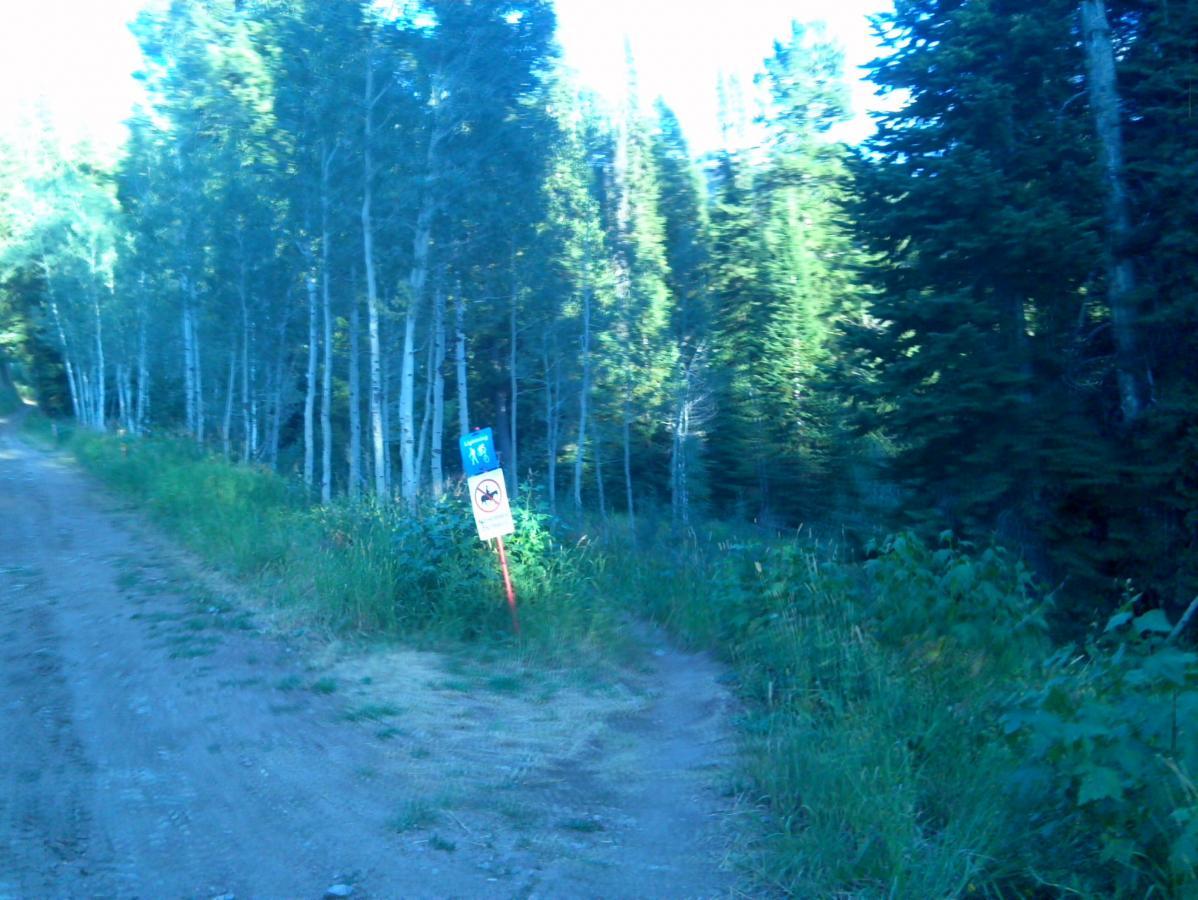 A dirt path lined with tall trees and greenery, featuring a blue trail sign and a warning sign indicating restricted access. Buffalo Soldier mountain bike trail.