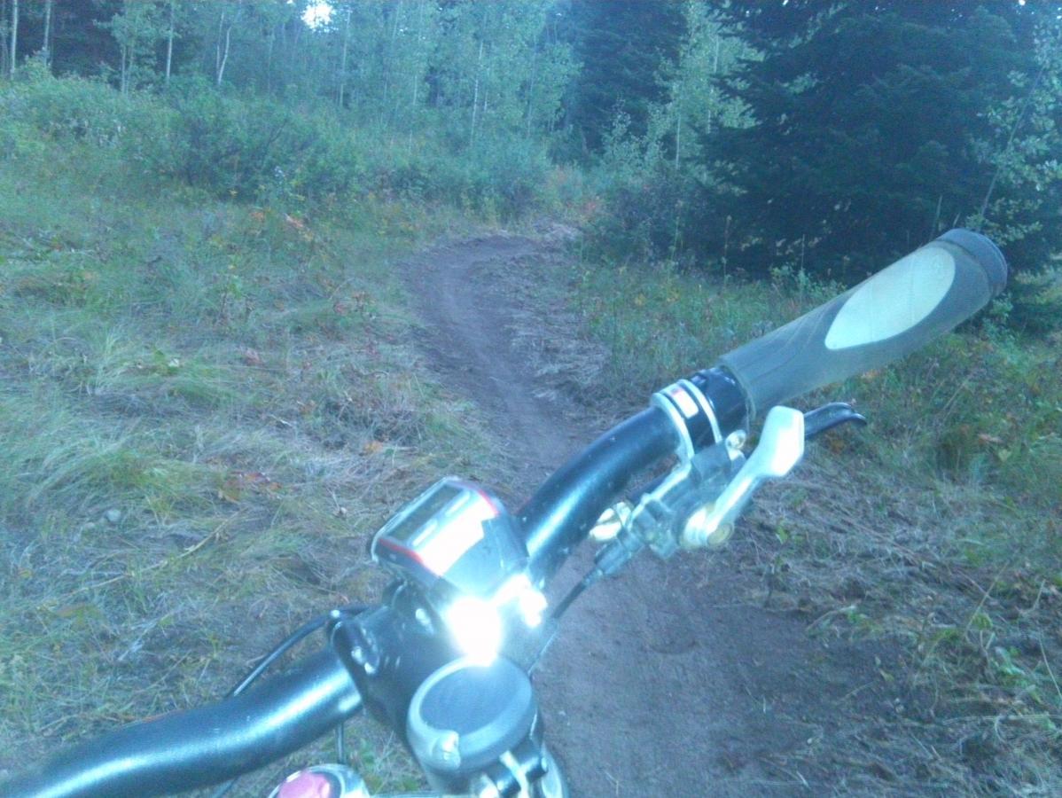 Mountain bike handlebars in the foreground, showing a bike computer and light, with a dirt path winding through a forested area in the background. Mill Creek mountain bike trail.