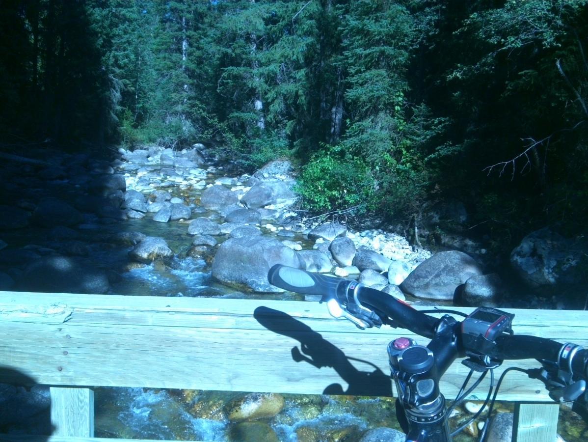 A mountain bike resting on a wooden bridge overlooking a clear, shallow stream with smooth stones visible beneath the water. Lush green trees and foliage surround the scene, creating a serene and natural atmosphere. Sheep Bridge Trail mountain bike trail.
