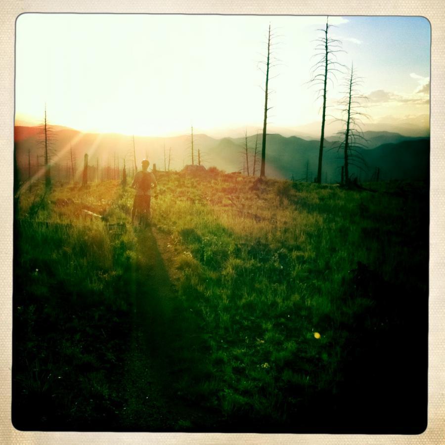 A person biking along a trail in a lush green landscape during sunset, with sun rays illuminating the scene. Background features distant mountains and sparse dead trees, suggesting a scenic outdoor environment. Buffalo Burn Trail mountain bike trail.
