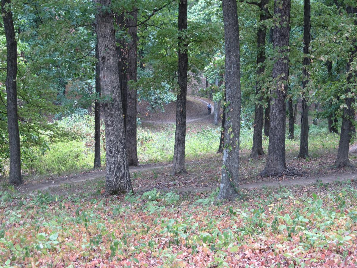 A scenic view of a forest with tall trees, showcasing a winding dirt path. In the background, a person can be seen walking along the path, surrounded by green foliage and fallen leaves on the ground. Klaus Park mountain bike trail.