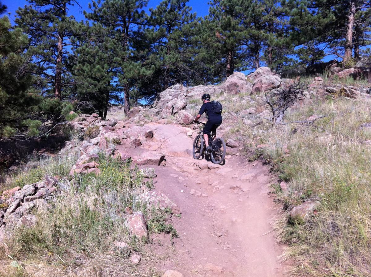 A mountain biker navigating a rocky trail surrounded by pine trees under a clear blue sky. The terrain is rugged, with a mix of dirt and rocks, indicating a challenging route for cycling enthusiasts. Hall Ranch mountain bike trail.