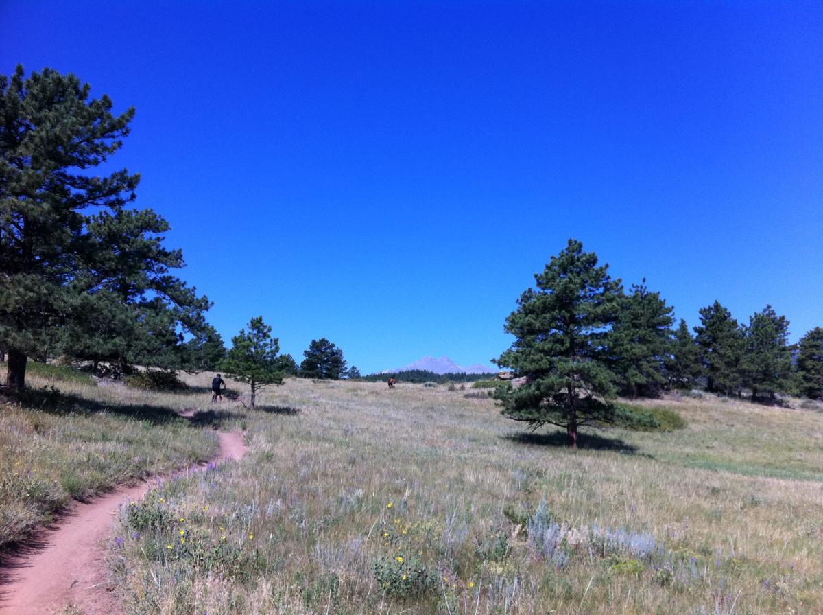A scenic view of a grassy landscape with winding dirt trails, bordered by pine trees and a clear blue sky. In the background, faint mountains are visible. Two individuals are seen walking along the trail. Hall Ranch mountain bike trail.