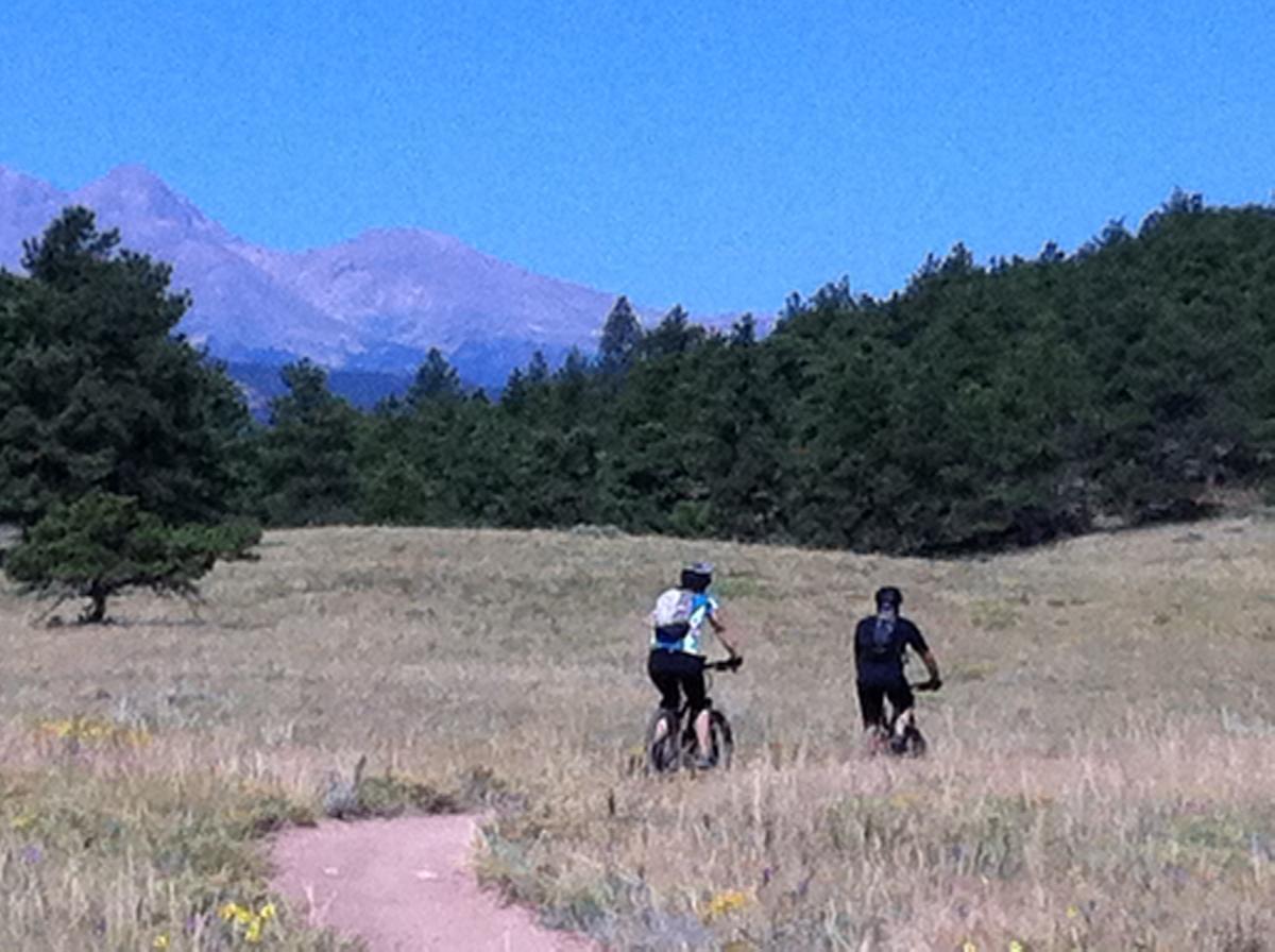 Two mountain bikers riding on a dirt trail through a grassy field, with trees and mountains in the background under a clear blue sky. Hall Ranch mountain bike trail.