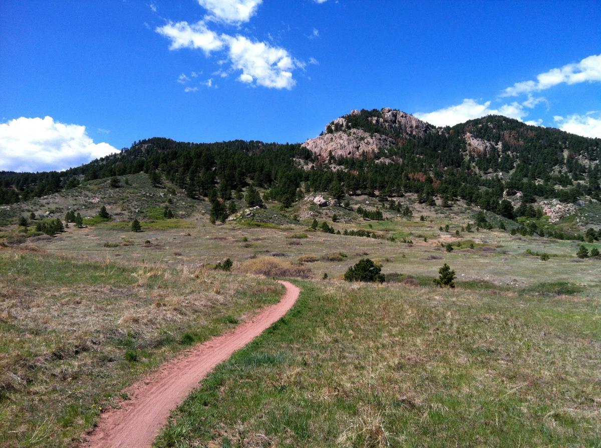 A winding dirt path meanders through a grassy landscape, leading towards a forested hill with rocky outcrops under a clear blue sky with scattered clouds. Lory State Park mountain bike trail.