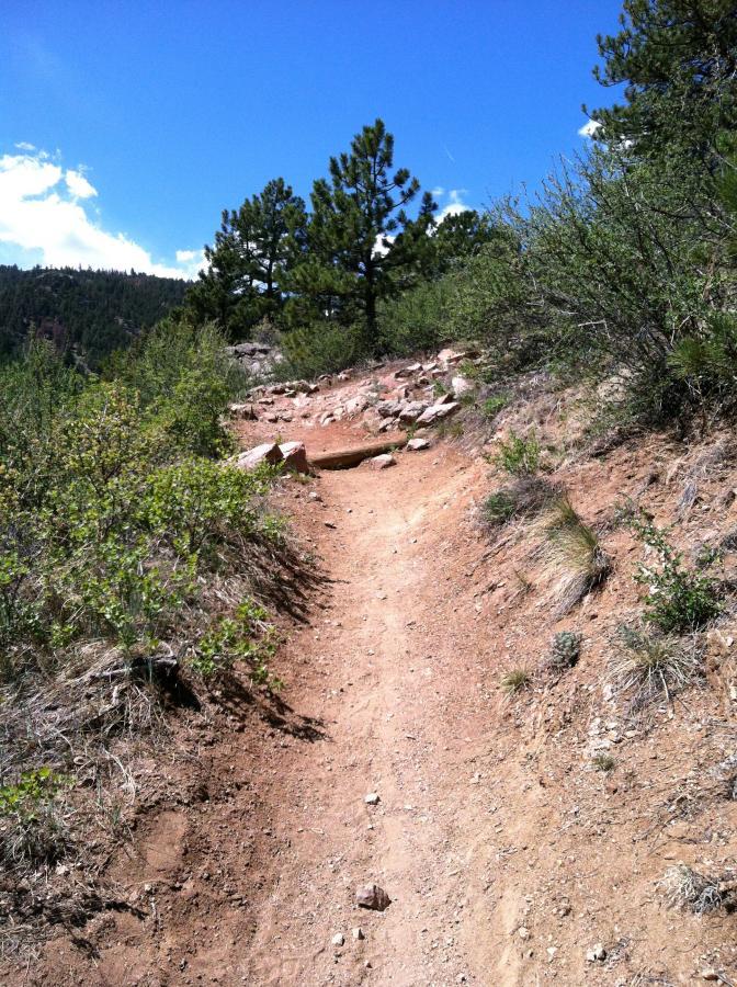A dirt hiking trail winds through green vegetation under a clear blue sky, leading up a gentle slope. Pine trees and bushes line the path, which is marked by rocky sections and dry soil on either side. Lory State Park mountain bike trail.