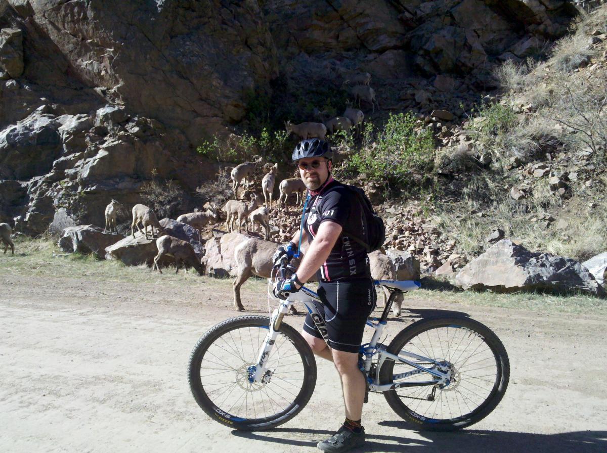 A man in cycling gear stands next to his mountain bike on a dirt path, surrounded by rocky terrain and several grazing animals in the background. The scene captures a sunny day in a natural setting. Waterton Canyon mountain bike trail.