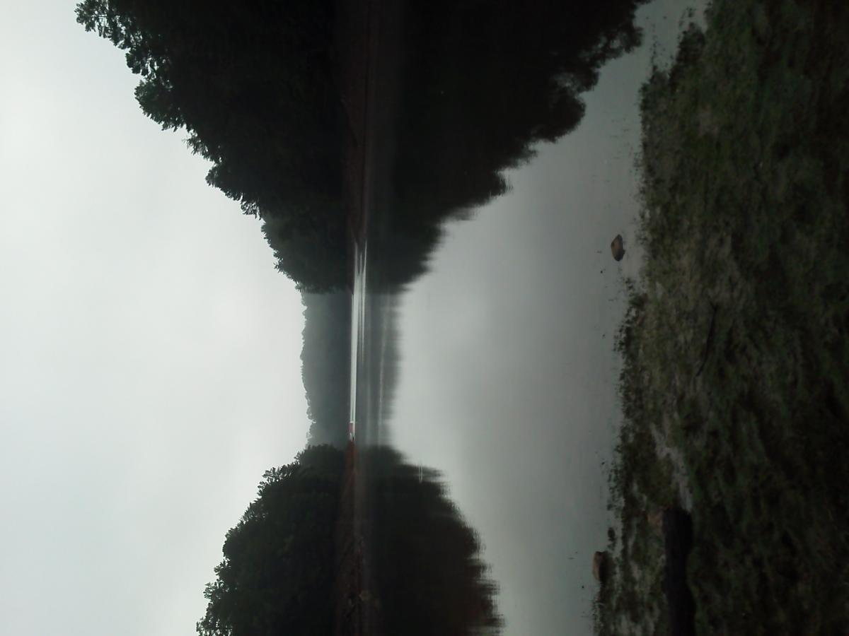 A misty river scene with trees lining the banks, creating a serene and tranquil atmosphere. The surface of the water is calm, reflecting the surrounding landscape. The sky is overcast, adding to the peaceful mood of the image. Green Mountain mountain bike trail.