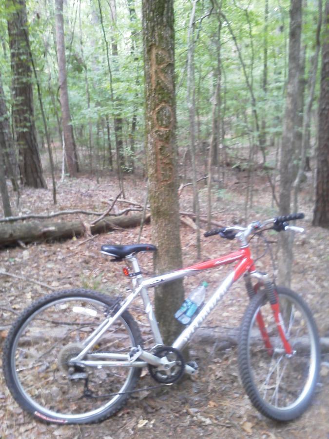 A mountain bike resting on the forest floor next to a tree with the name "ROB" carved into its bark. The background features dense greenery and scattered fallen branches, creating a natural wooded setting. Lincoln Parish Park mountain bike trail.