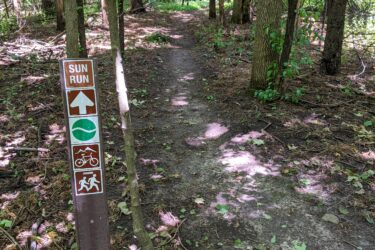A forest trail with a signpost indicating a running route. The sign features symbols for running, cycling, and a green directional arrow, set against a backdrop of lush greenery and tall trees. Sunlight filters through the leaves, illuminating the path ahead. Calumet County Park mountain bike trail.