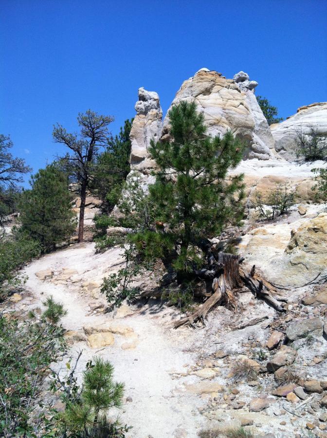 A scenic landscape featuring a winding dirt path leading through rocky terrain and sparse pine trees under a bright blue sky. The rocks have unique shapes and colors, adding to the natural beauty of the area. Palmer Park mountain bike trail.