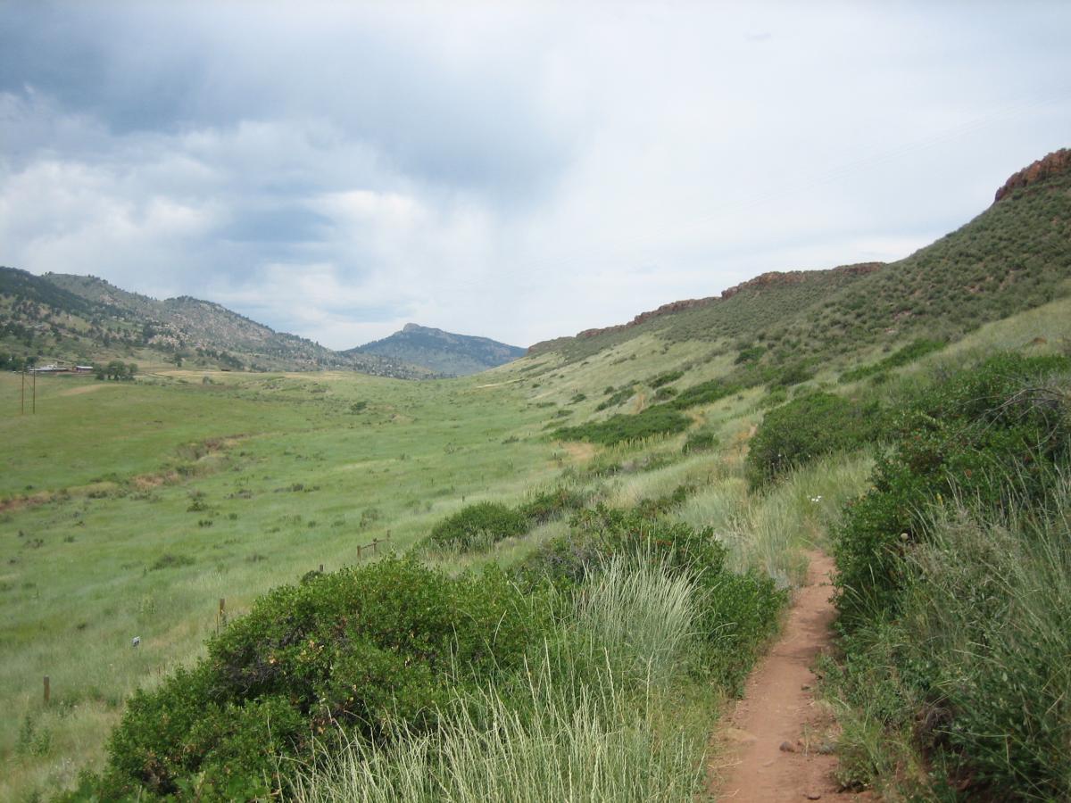 A scenic landscape featuring a winding dirt trail surrounded by lush green grass and shrubs, with rolling hills and mountains in the background under a partly cloudy sky. Devil's Backbone mountain bike trail.