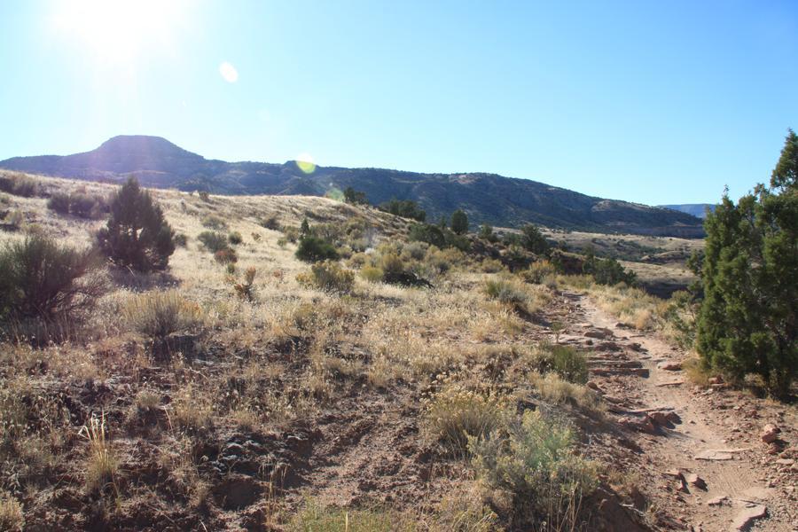 A scenic view of a dirt trail winding through a grassy landscape, with sparse bushes and shrubs on either side. In the background, rolling hills and mountains are visible under a clear blue sky, illuminated by bright sunlight. Mary's Loop / Horsethief Bench mountain bike trail.