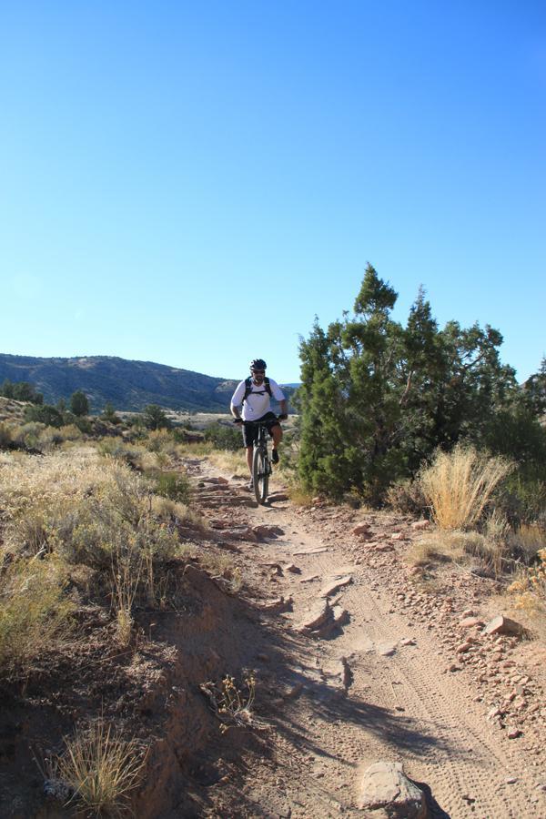 A lone mountain biker rides along a dirt trail surrounded by sparse vegetation and shrubs, with rocky terrain and distant hills under a clear blue sky. Mary's Loop / Horsethief Bench mountain bike trail.