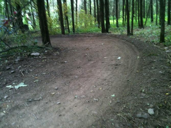 A dirt path curves through a forest, surrounded by tall trees and a natural, rustic environment. The trail is lined with scattered leaves and small rocks, indicating it is used for outdoor activities like hiking or biking. Nockamixon State Park mountain bike trail.