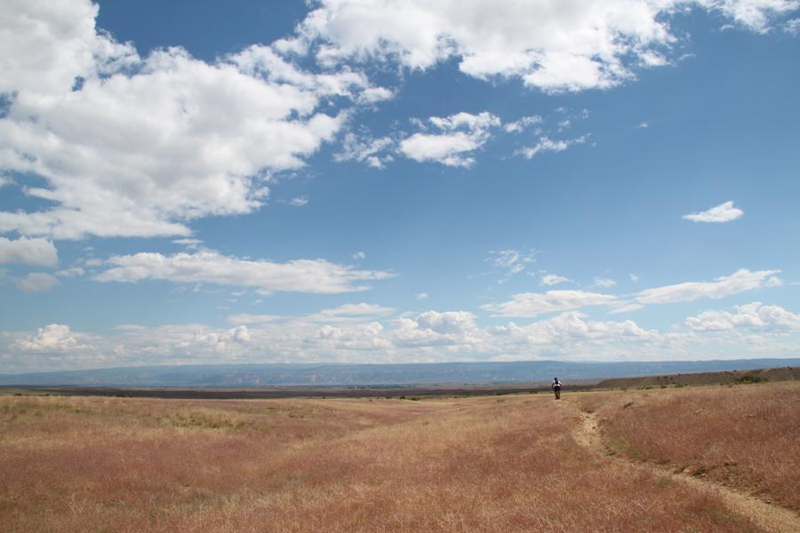 A vast, open landscape under a bright blue sky dotted with fluffy white clouds. In the foreground, golden grasses sway gently in the breeze, while a winding dirt path leads off into the distance. A solitary figure walks along the path, surrounded by the expansive scenery of rolling hills and distant mountains. Chutes and Ladders mountain bike trail.