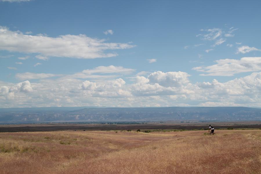 A picturesque landscape featuring a vast open field with golden grasses under a bright blue sky dotted with white clouds. In the distance, rolling hills create a scenic backdrop, while a lone rider on horseback can be seen traversing the grassy terrain. Chutes and Ladders mountain bike trail.