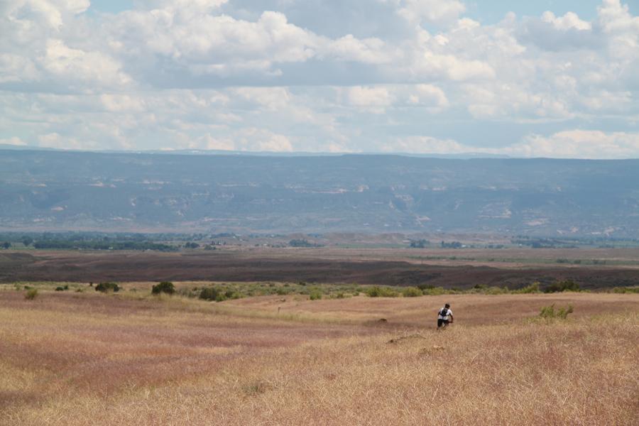 A vast landscape featuring rolling hills and distant mountains under a partly cloudy sky. In the foreground, a figure is walking through tall, golden grass, emphasizing the expansive natural scenery. Chutes and Ladders mountain bike trail.