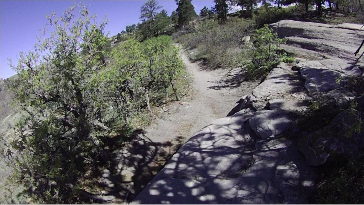 A scenic outdoor trail winding through a rocky landscape, with sunlight filtering through trees and casting shadows on the ground. Wildcat Mountain / Monarch mountain bike trail.
